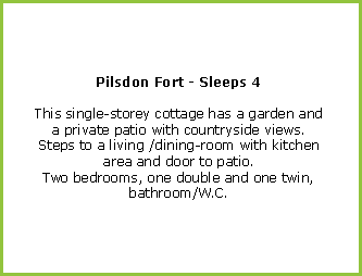 General description for Pilsdon Fort